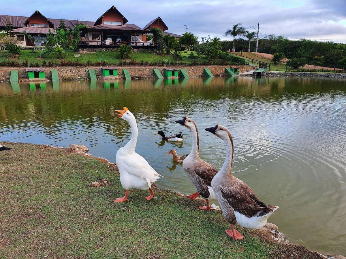 Apartamento Winterville Residence Em Gravata 2 Qtos ภายนอก รูปภาพ
