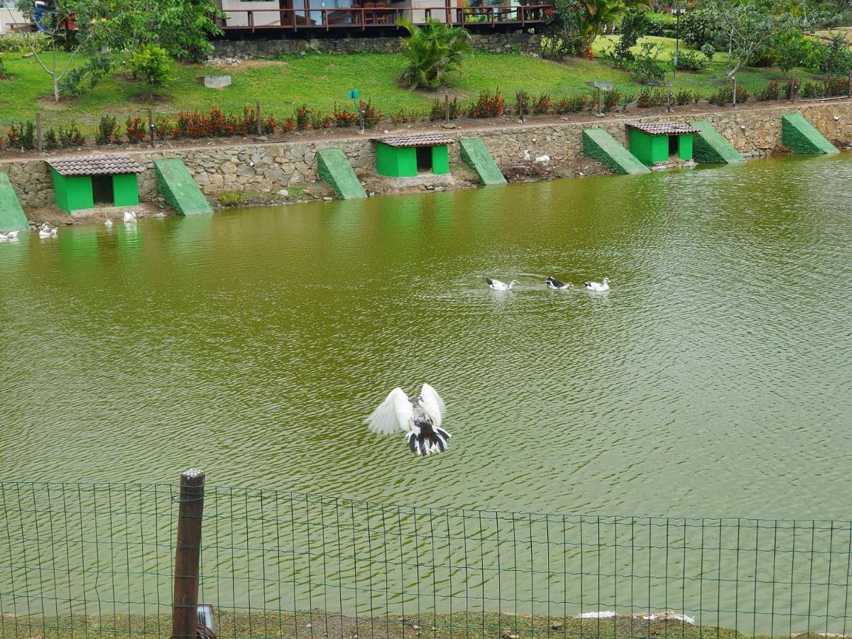 Apartamento Winterville Residence Em Gravata 2 Qtos ภายนอก รูปภาพ